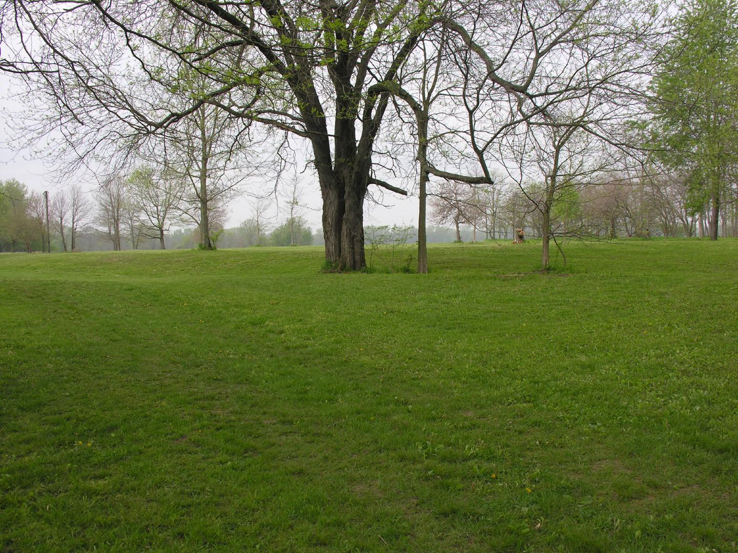 Strawtown Koteewi Park