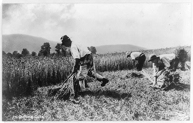 Irish Farmers